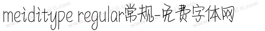 meiditype regular常规字体转换